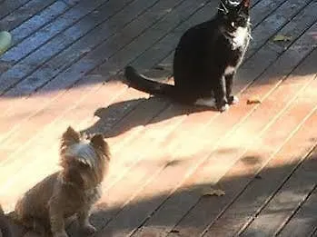 Domaine De Pradaous 3* Reillanne